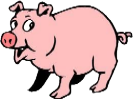 Year of Pig (Chinese Astrology)